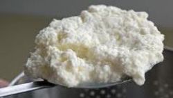 Ricotta