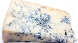 Gorgonzola sajt