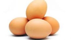 A tojás szerepe a táplálkozásban